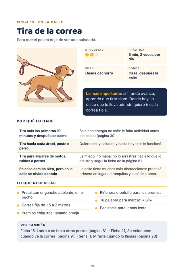 Página del libro: Cada ficha: la dificultad, los minutos por día y por qué lo hace