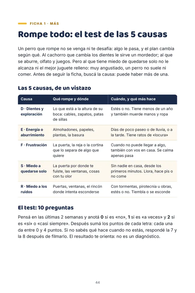 Página del libro: Rompe todo, la ficha más larga, con el test de las 5 causas